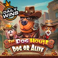 the Dog House Dog or Alive